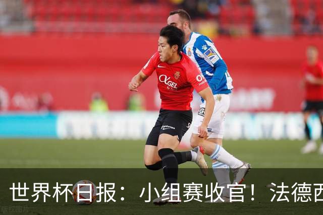 世界杯日报：小组赛收官！法德西荷葡半区绞杀+韩国伊朗出局